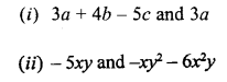 Selina Concise Mathematics Class 6 ICSE Solutions Chapter 19 Fundamental Operations image - 48