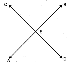 Selina Concise Mathematics Class 6 ICSE Solutions Chapter 23 Fundamental Concepts image - 12