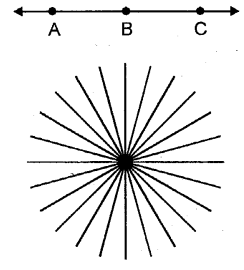 Selina Concise Mathematics Class 6 ICSE Solutions Chapter 23 Fundamental Concepts image - 13