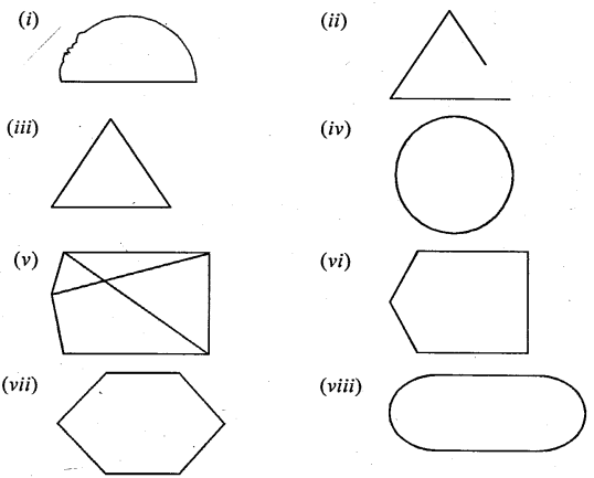 Selina Concise Mathematics Class 6 ICSE Solutions Chapter 23 Fundamental Concepts image - 27