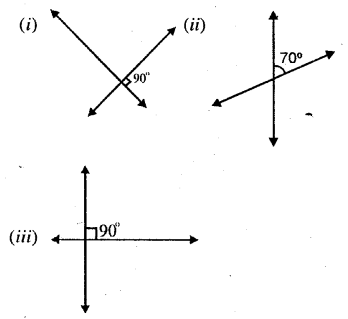 Selina Concise Mathematics Class 6 ICSE Solutions Chapter 23 Fundamental Concepts image - 29