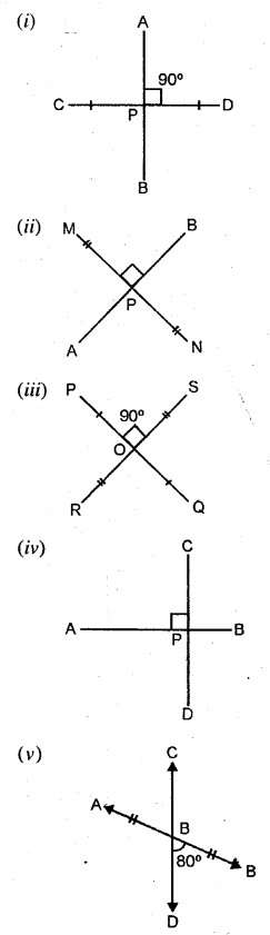 Selina Concise Mathematics Class 6 ICSE Solutions Chapter 23 Fundamental Concepts image - 30