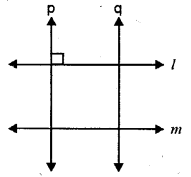 Selina Concise Mathematics Class 6 ICSE Solutions Chapter 23 Fundamental Concepts image - 31