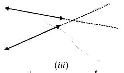 Selina Concise Mathematics Class 6 ICSE Solutions Chapter 23 Fundamental Concepts image - 37