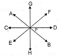 Selina Concise Mathematics Class 6 ICSE Solutions Chapter 23 Fundamental Concepts image - 7Selina Concise Mathematics Class 6 ICSE Solutions Chapter 23 Fundamental Concepts image - 7