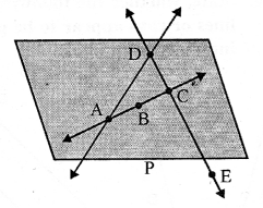 Selina Concise Mathematics Class 6 ICSE Solutions Chapter 23 Fundamental Concepts image - 8