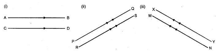 Selina Concise Mathematics Class 6 ICSE Solutions Chapter 25 Properties of Angles and Lines image - 1