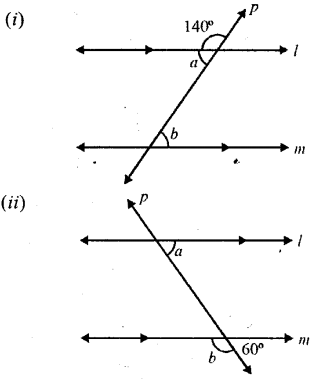 Selina Concise Mathematics Class 6 ICSE Solutions Chapter 25 Properties of Angles and Lines image - 12