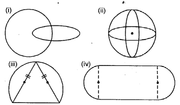 Selina Concise Mathematics Class 6 ICSE Solutions Chapter 30 Revision Exercise Symmetry image - 18