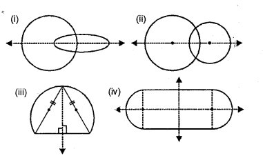 Selina Concise Mathematics Class 6 ICSE Solutions Chapter 30 Revision Exercise Symmetry image - 19