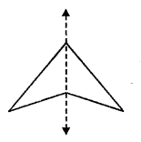 Selina Concise Mathematics Class 6 ICSE Solutions Chapter 30 Revision Exercise Symmetry image - 7