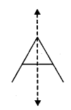 Selina Concise Mathematics Class 6 ICSE Solutions Chapter 30 Revision Exercise Symmetry image - 8