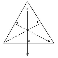 Selina Concise Physics Class 10 ICSE Solutions Force 16