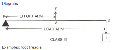 Selina Concise Physics Class 10 ICSE Solutions Machines img 11