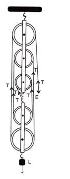 Selina Concise Physics Class 10 ICSE Solutions Machines img 34