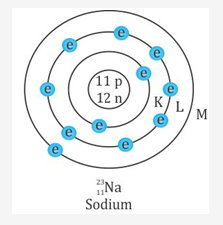 Selina Concise Physics Class 10 ICSE Solutions Radioactivity img 1