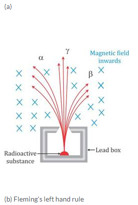 Selina Concise Physics Class 10 ICSE Solutions Radioactivity img 6