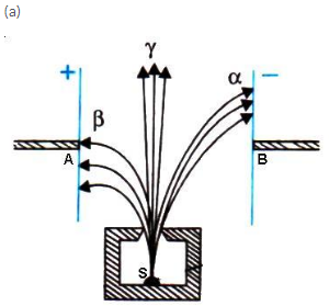 Selina Concise Physics Class 10 ICSE Solutions Radioactivity img 7