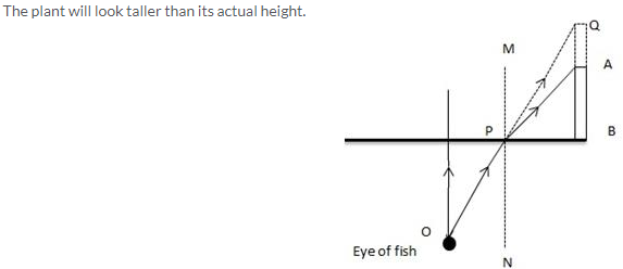 Selina Concise Physics Class 10 ICSE Solutions Refraction of Light at Plane Surfaces img 32