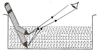 Selina Concise Physics Class 10 ICSE Solutions Refraction of Light at Plane Surfaces img 33