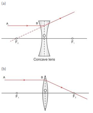 Selina Concise Physics Class 10 ICSE Solutions Refraction through Lens img 21