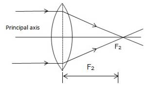 Selina Concise Physics Class 10 ICSE Solutions Refraction through Lens img 9