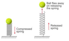 Selina Concise Physics Class 10 ICSE Solutions Work, Energy and Power 18