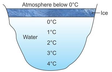 Selina Concise Physics Class 9 ICSE Solutions Heat and Energy image - 5