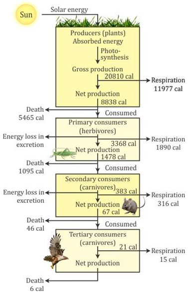 Selina Concise Physics Class 9 ICSE Solutions Heat and Energy image - 8