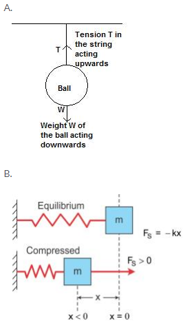 Selina Concise Physics Class 9 ICSE Solutions Laws of Motion 1