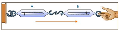 Selina Concise Physics Class 9 ICSE Solutions Laws of Motion 10