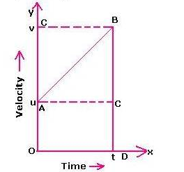 Selina Concise Physics Class 9 ICSE Solutions Motion in One Dimension - 10