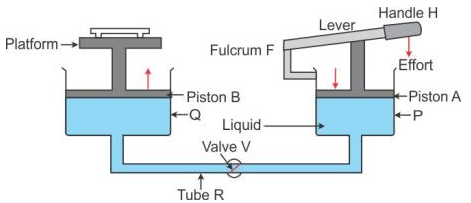 Selina Concise Physics Class 9 ICSE Solutions Pressure in Fluids and Atmospheric Pressure - 1