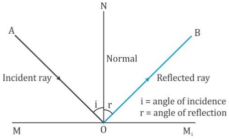 Selina Concise Physics Class 9 ICSE Solutions Reflection of Light image - 6