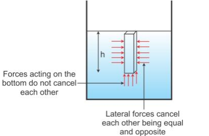 Selina Concise Physics Class 9 ICSE Solutions Upthrust in Fluids, Archimedes' Principle and Floatation image - 1