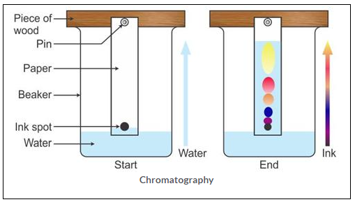 Selina ICSE Solutions for Class 9 Chemistry - Elements, Compounds and Mixtures image - 7