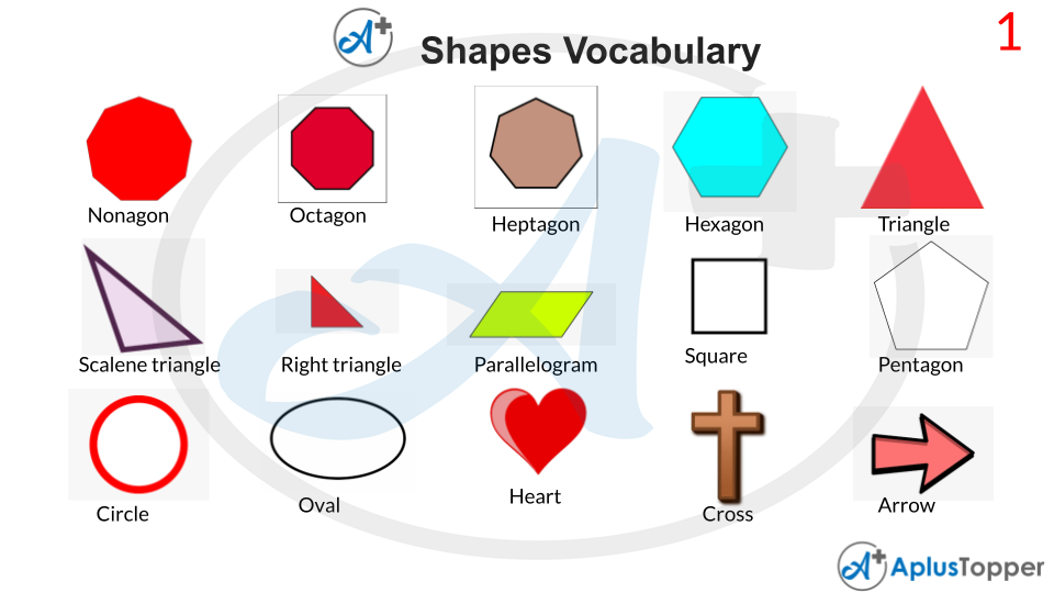 Shapes Vocabulary