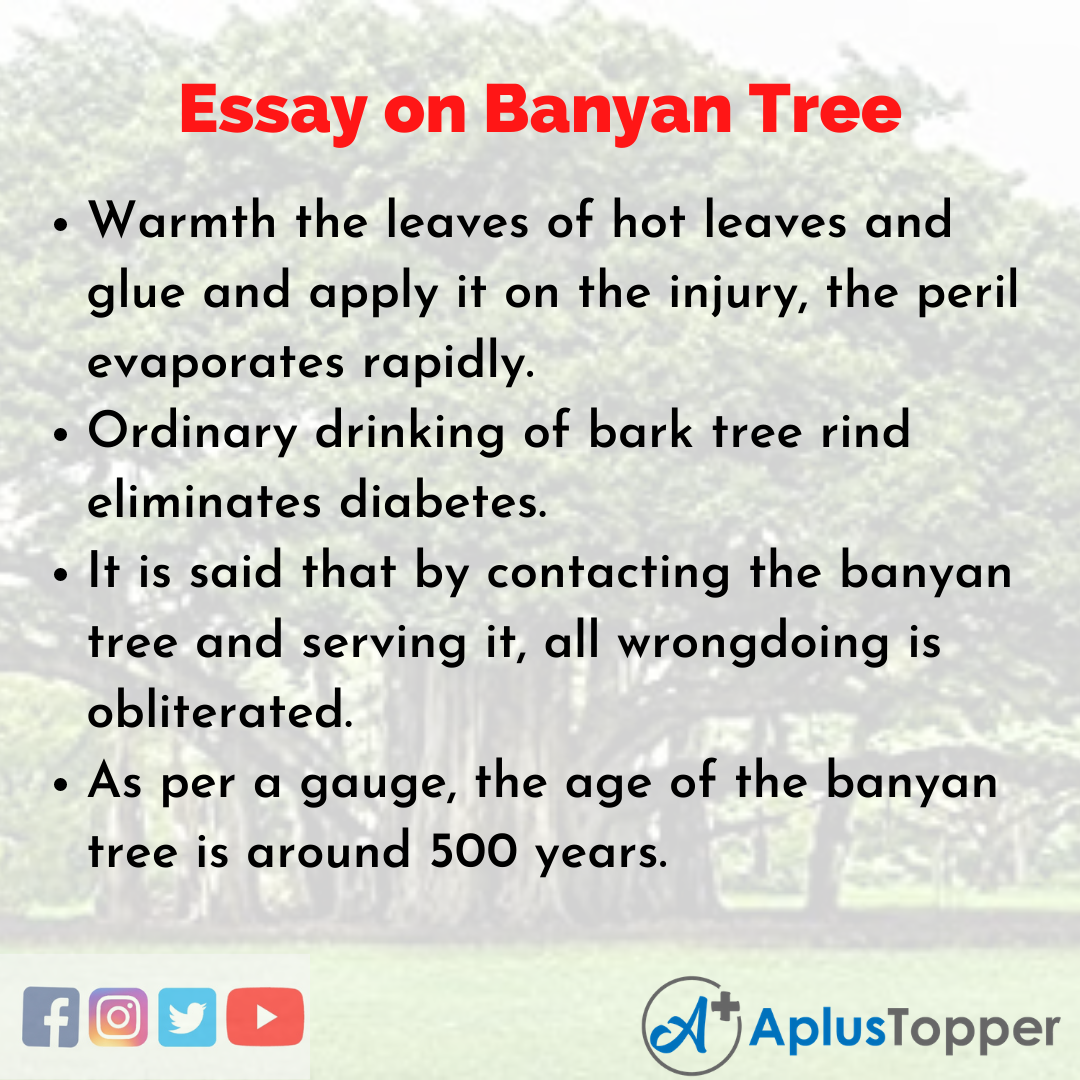 Short Essay on Banyan Tree