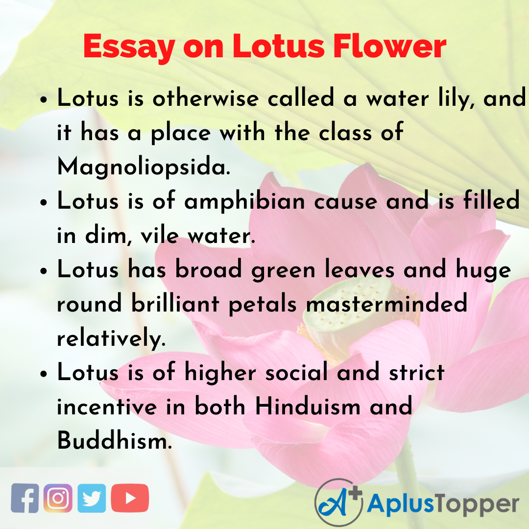 Short Essay on Lotus Flower