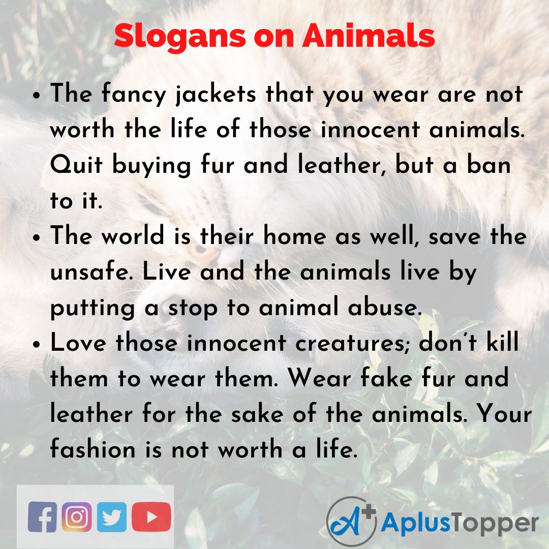 Slogans on Animals in English