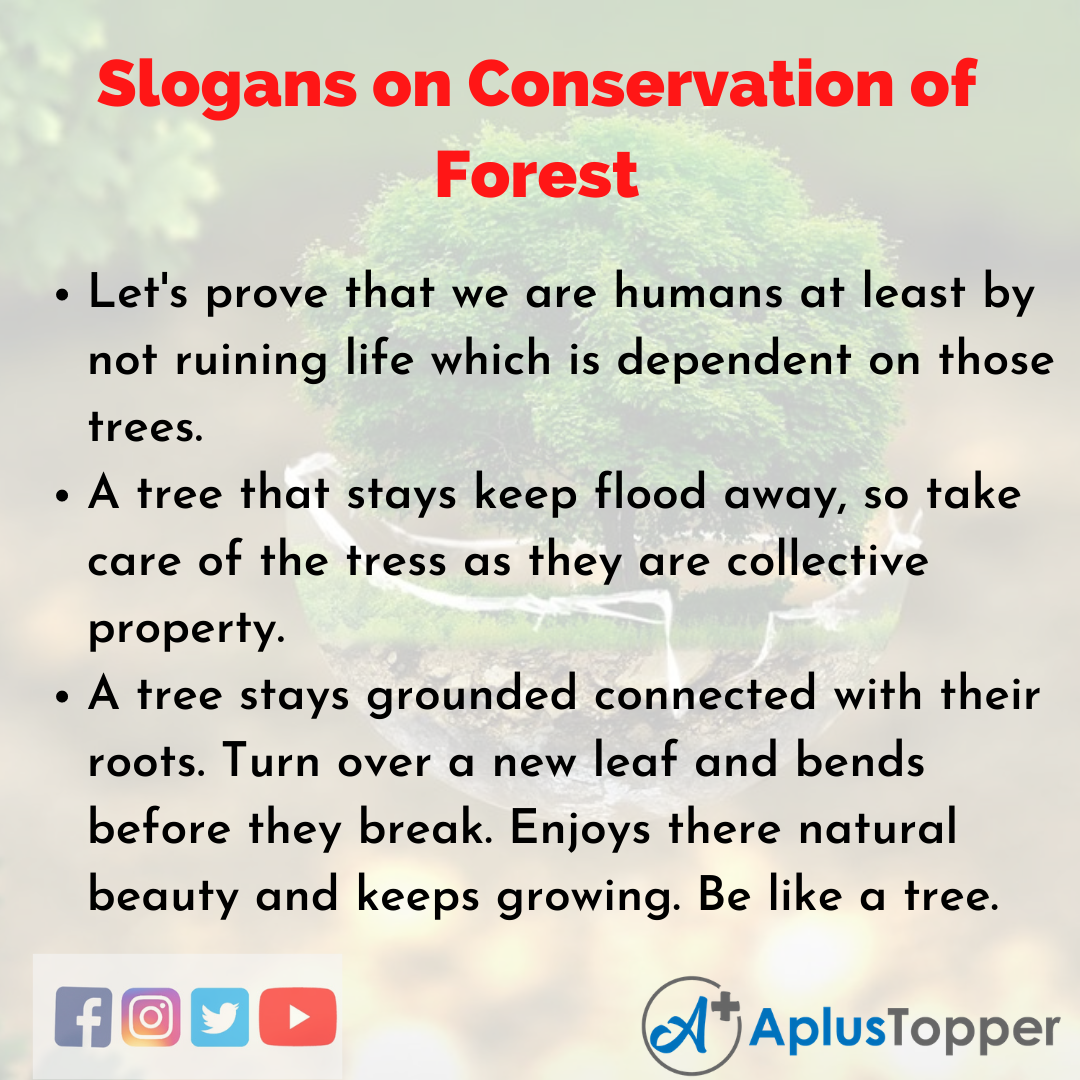 Slogans on Conservation of Forest in English