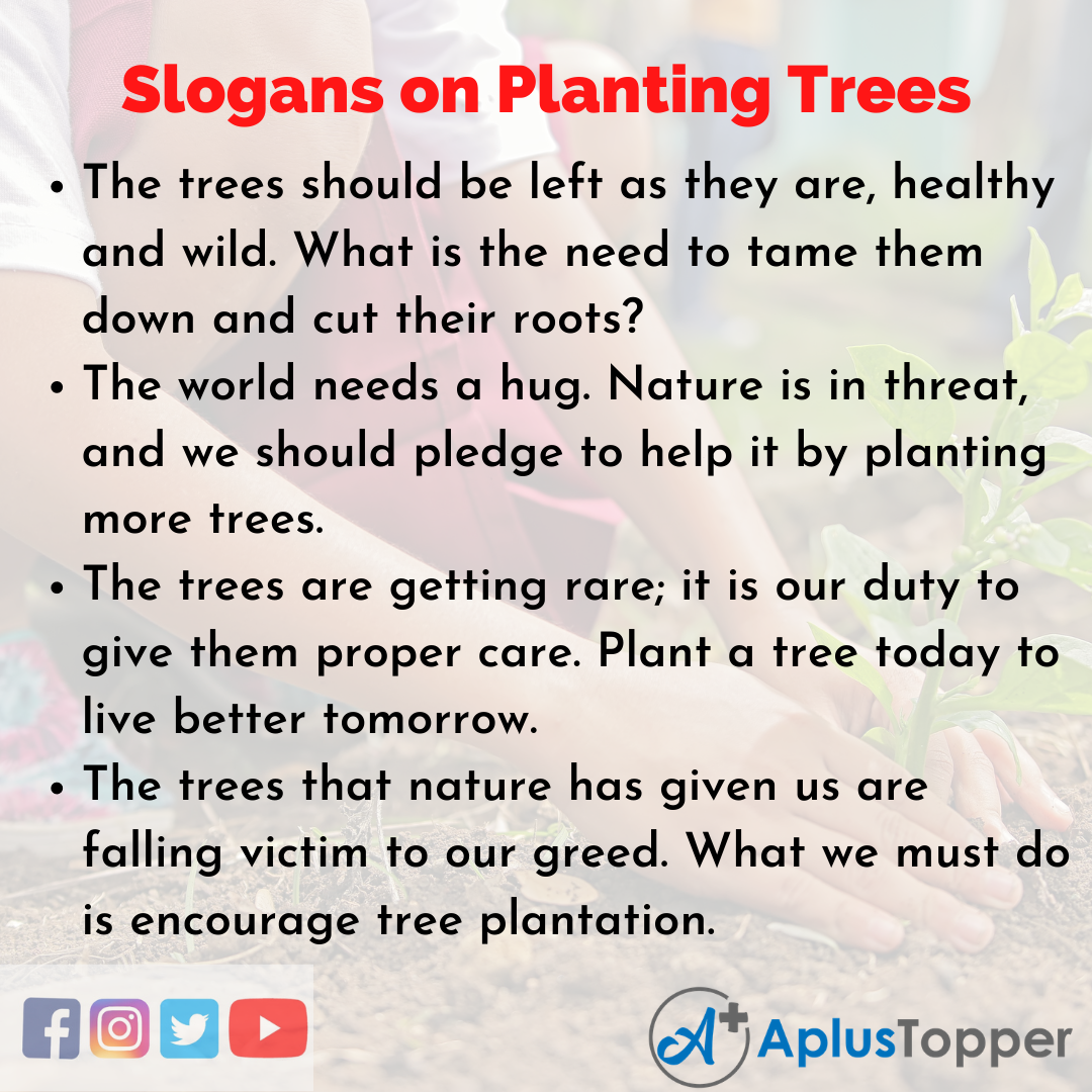 Slogans on Planting Trees in English