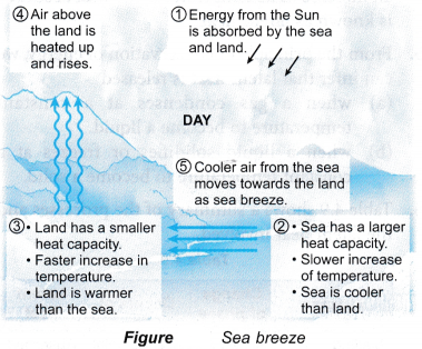 Specific Heat Capacity Applications 5