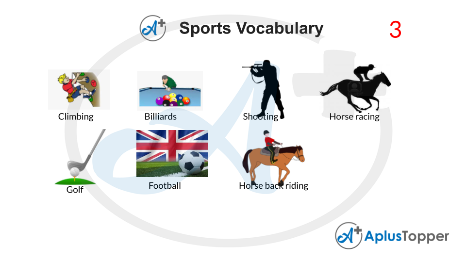 Sports Vocabulary With Pictures