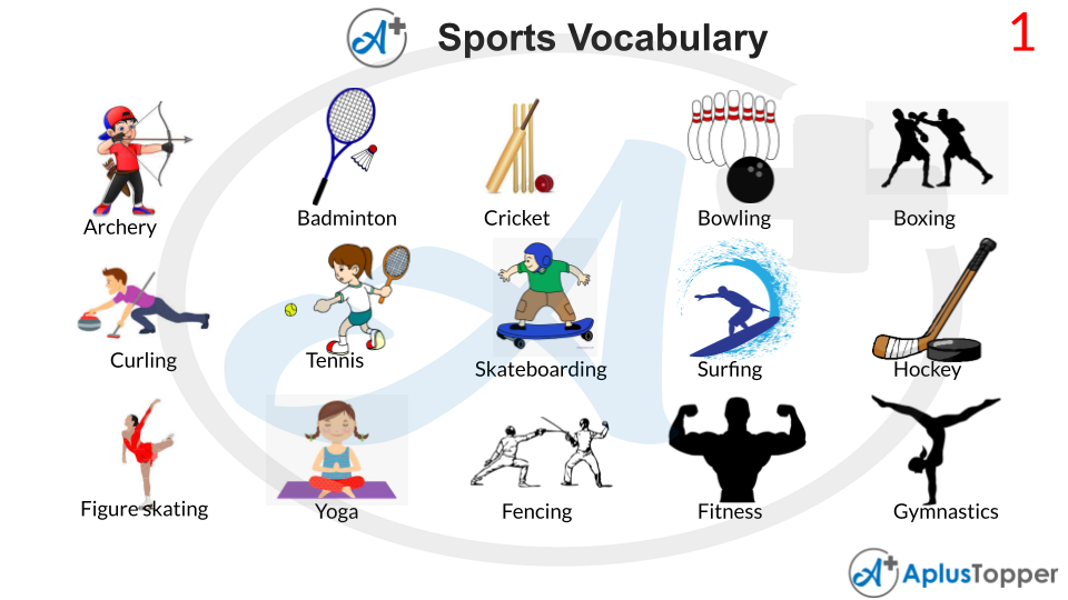 Sports Vocabulary