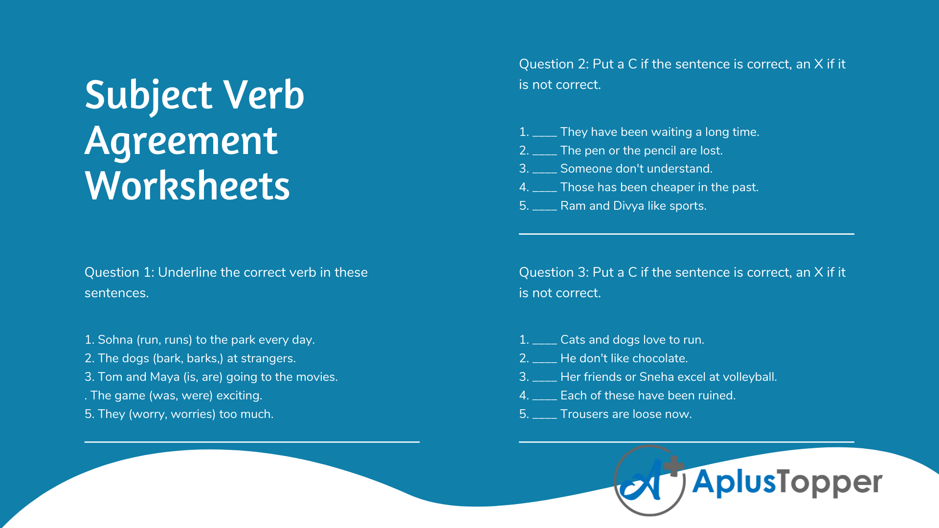 Subject Verb Agreement