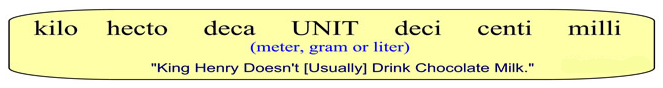 The Metric System of Measurement 1