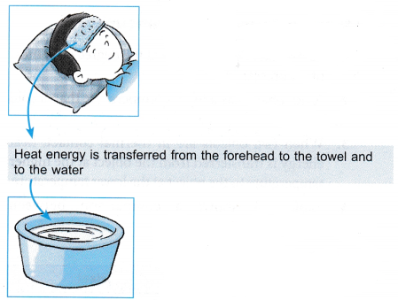 Thermal Equilibrium Example 1