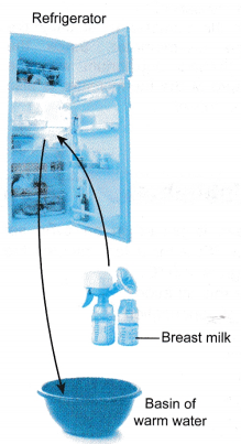 Thermal Equilibrium Example