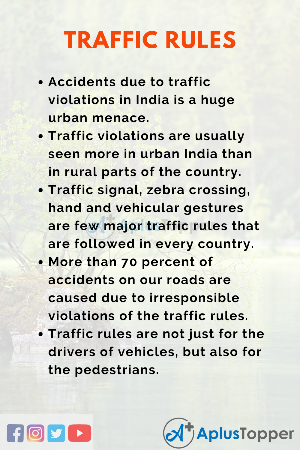 Traffic Rules Essay